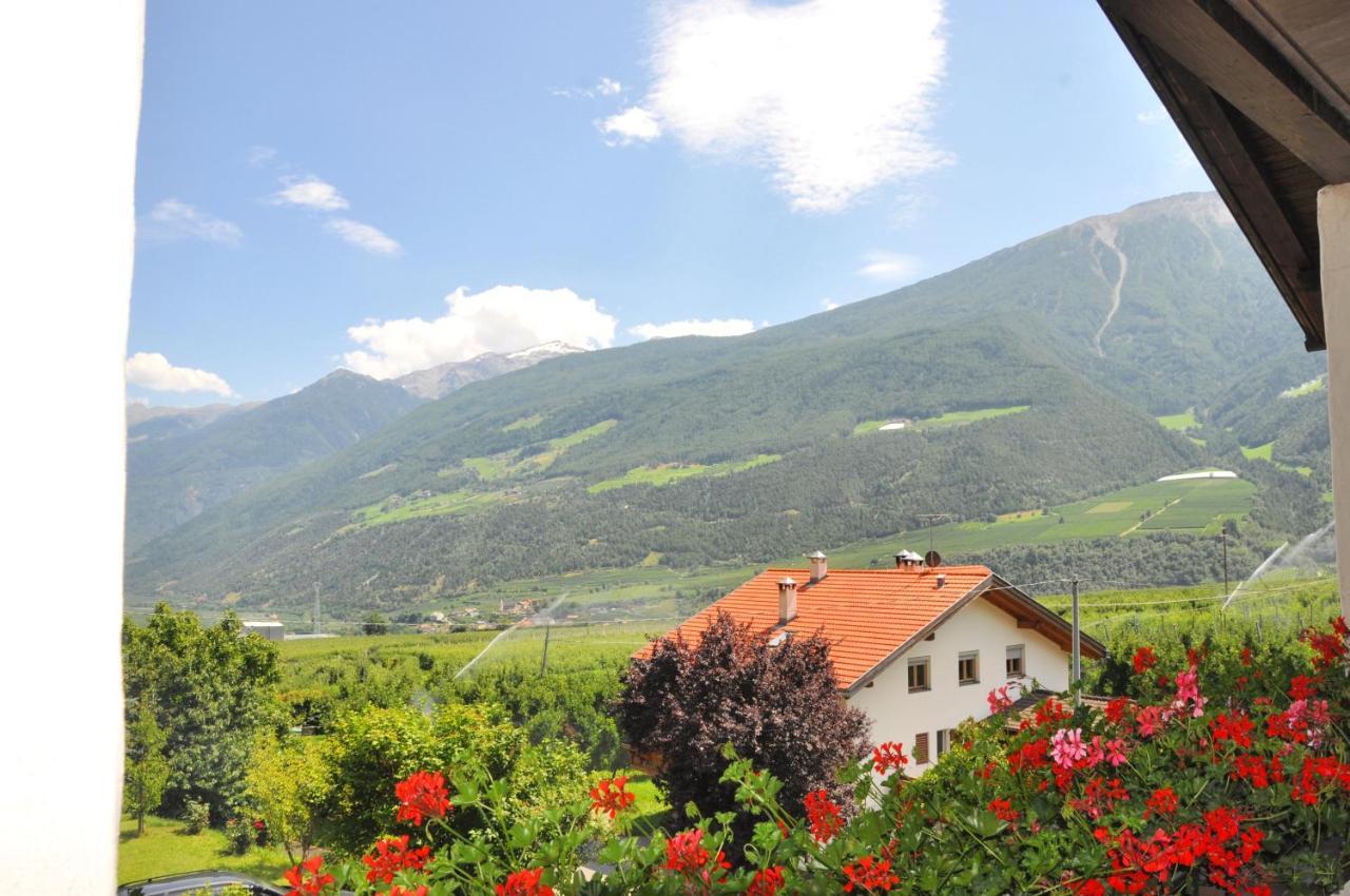 Feldgaertenhof سيلاندرو المظهر الخارجي الصورة